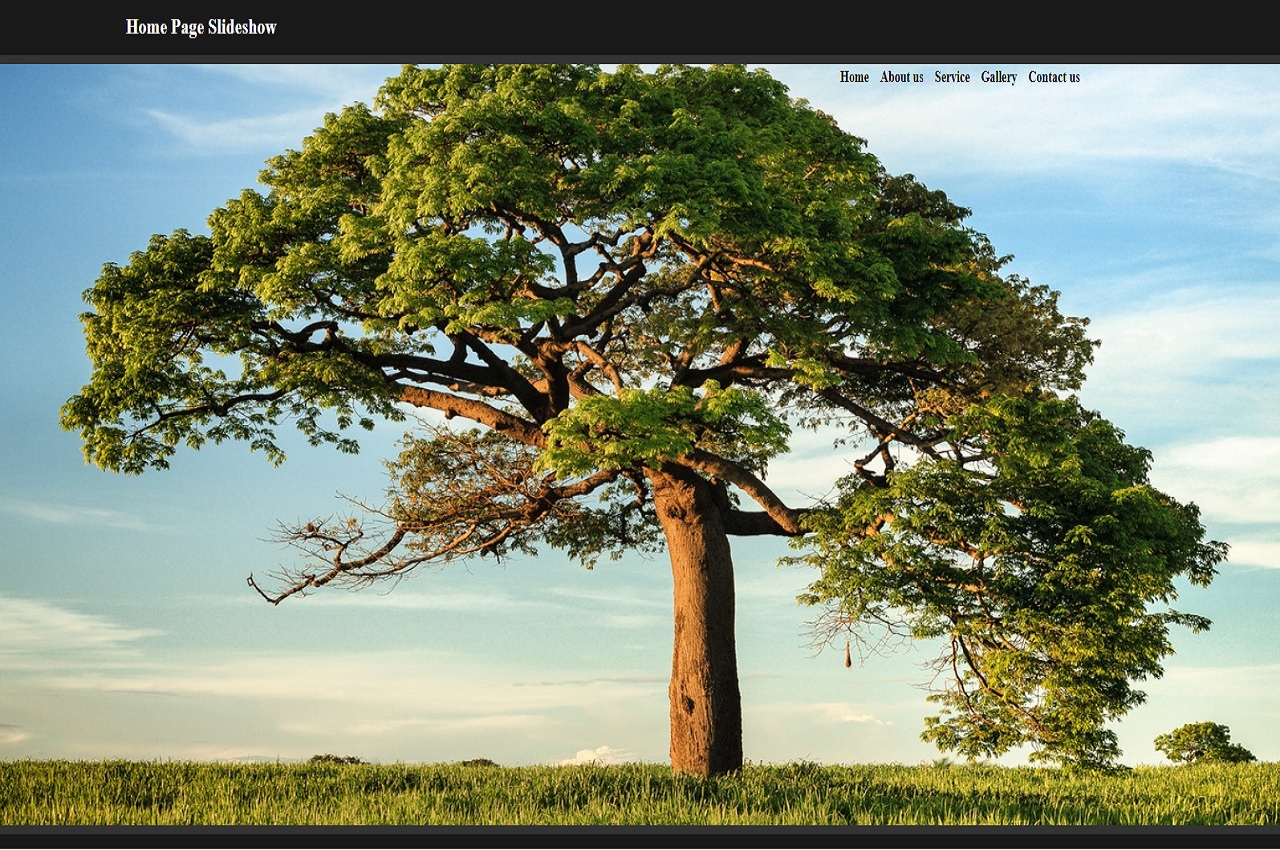 js slideshow